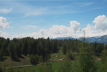 Blick gegen Casealas und Albula