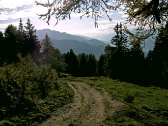 Alpweg von der Motta