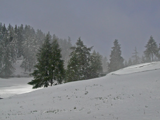 Nebel und Schnee