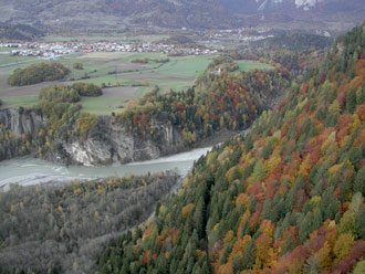 Die Rheinauen