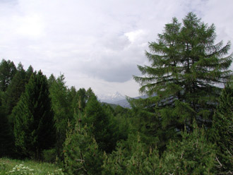 Piz Beverin in Wolken