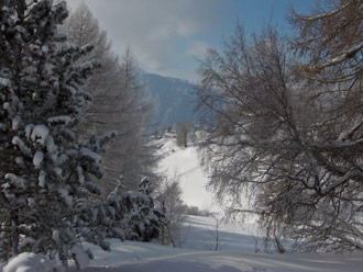 Blick ins Dorf