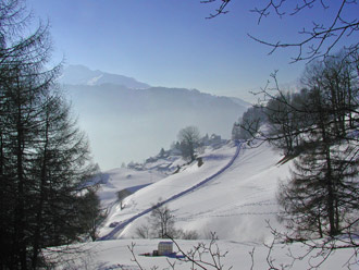 Ransul und Feldis