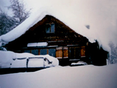 Schnee 1991