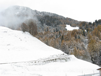 frischer Schnee im November