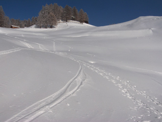 Spuren im Schnee